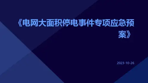 电网大面积停电事件专项应急预案