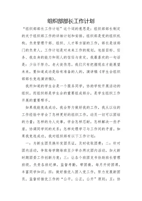 组织部部长工作计划