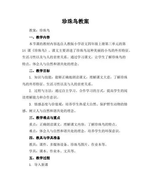 珍珠鸟教案