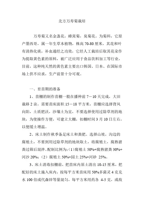 北方万寿菊栽培