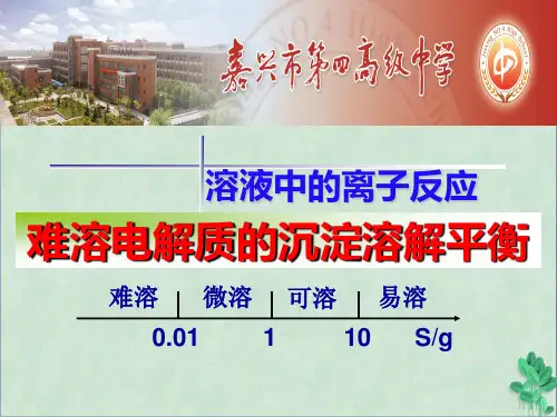 难溶电解质的沉淀溶解平衡(课件PPT)