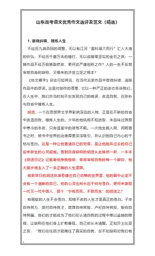 山东高考语文优秀作文选评及范文(精选)