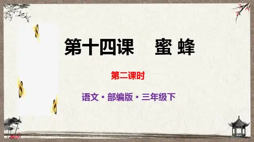 部编人教版三年级下册语文 第十四课  蜜蜂  第2课时 教学课件