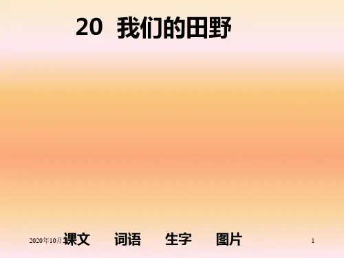 我们的田野PPT课件