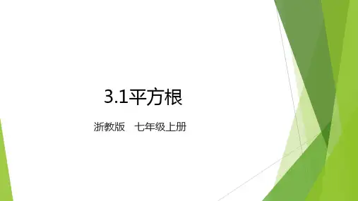 3.1平方根 课件 2024-2025学年浙教版数学七年级上册 