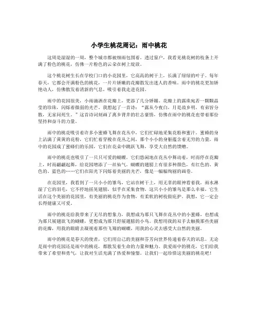 小学生桃花周记：雨中桃花