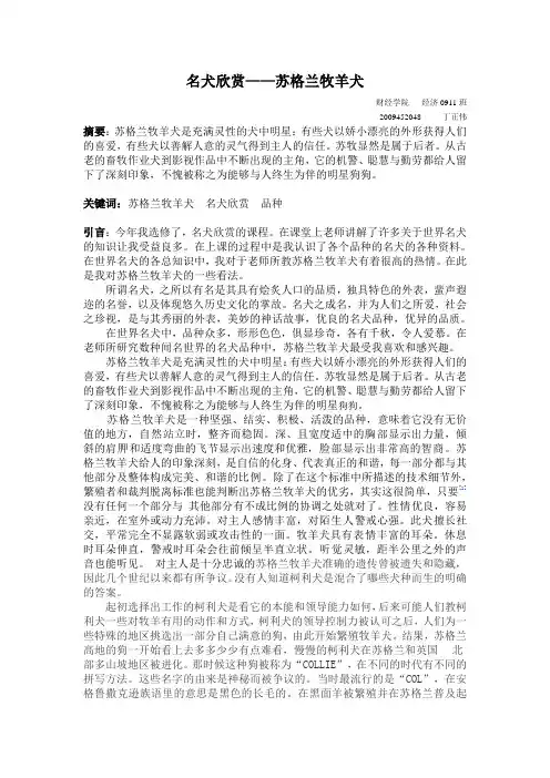名犬欣赏