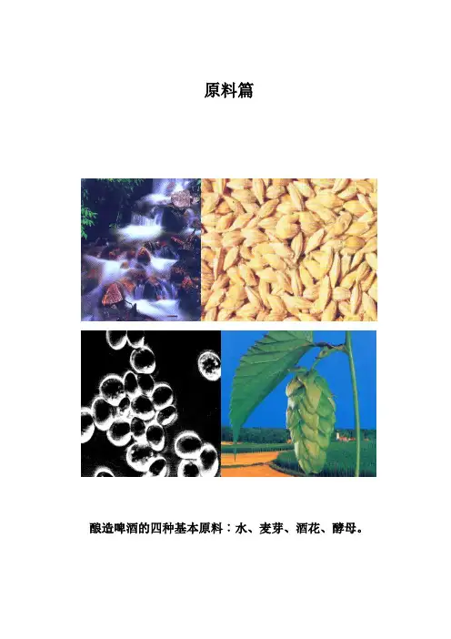 啤酒手册—01水