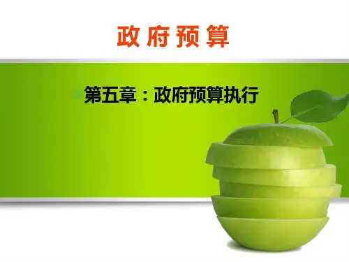 政府预算的执行培训.pptx