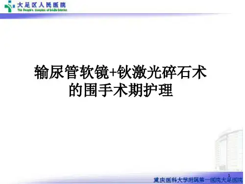输尿管软镜教学讲课ppt课件