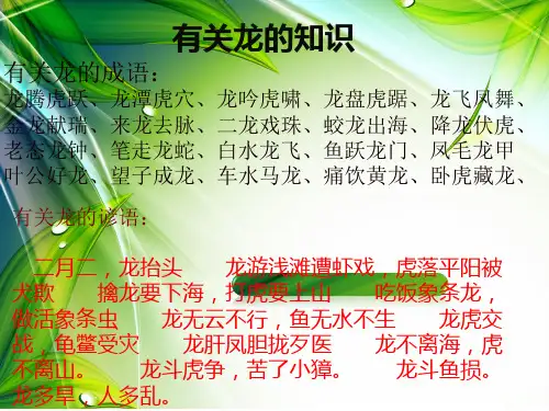 有关龙的知识