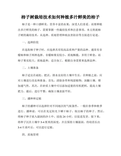 柿子树栽培技术如何种植多汁鲜美的柿子