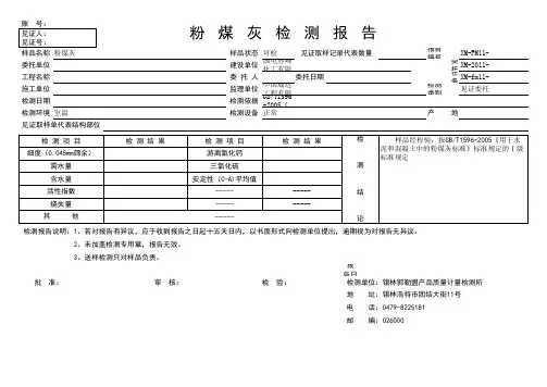 粉煤灰检测报告