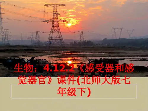 生物：4.12.2《感受器和感觉器官》课件(北师大版七年级下)