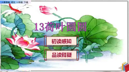 《荷叶圆圆》课件PPT(完美版)