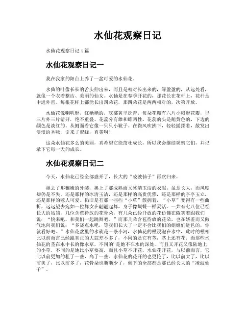 水仙花观察日记