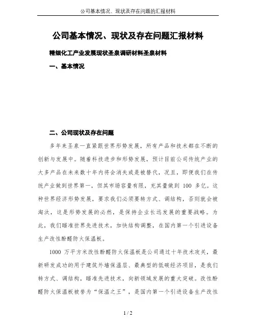 公司基本情况、现状及存在问题的汇报材料