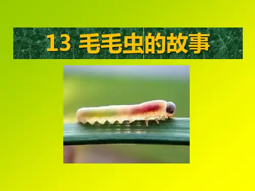 《毛毛虫的故事》PPT精选教学课件