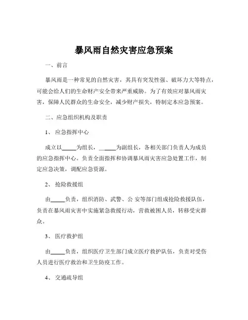 暴风雨自然灾害应急预案