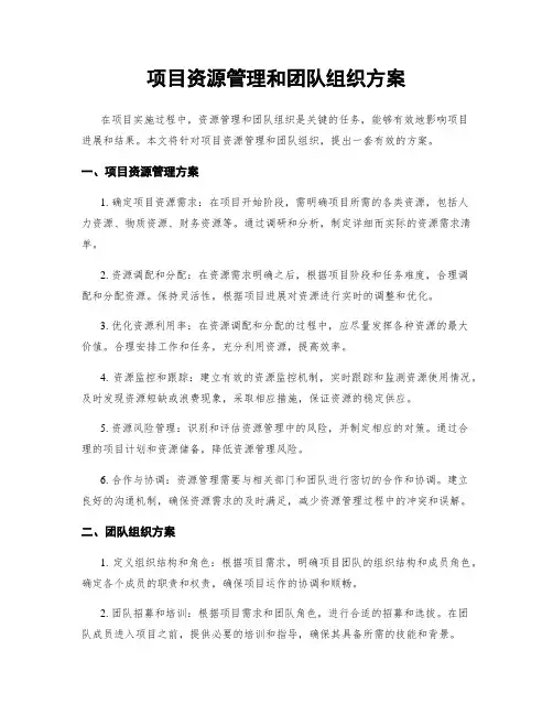 项目资源管理和团队组织方案