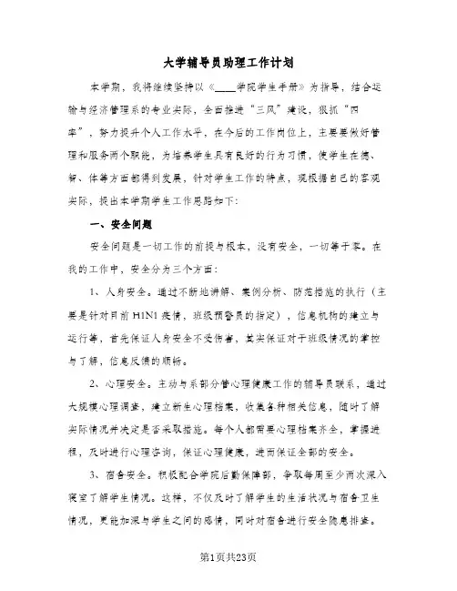 2024年大学辅导员助理工作计划(五篇)