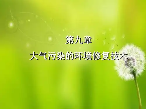 大气污染的环境修复技术.ppt