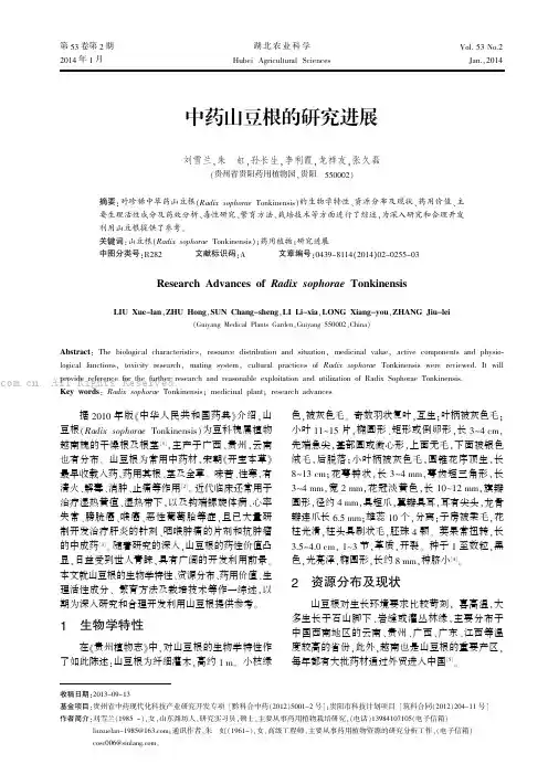 中药山豆根的研究进展