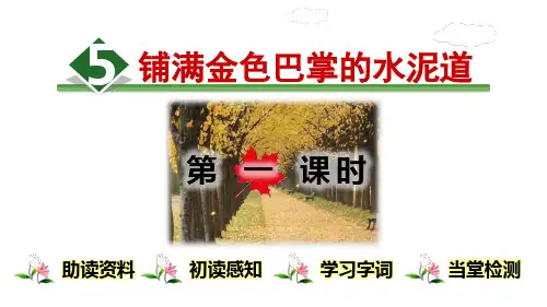 2018~2019学年部编人教版语文三年级上册第5课《铺满金色巴掌的水泥道》课件内嵌音频