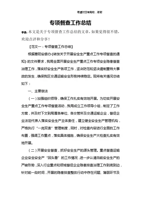 专项督查工作总结