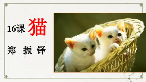 部编版七年级上册《猫》PPT课件