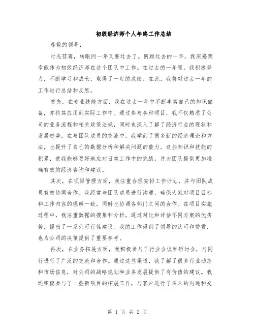 初级经济师个人年终工作总结