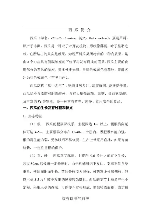 西瓜简介