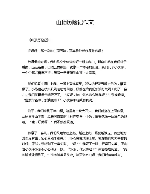 山顶历险记作文