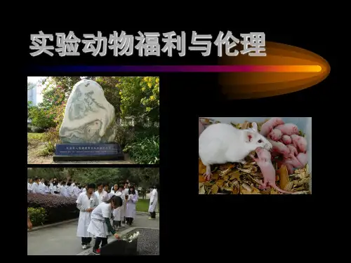 动物实验伦理与福利 ppt课件