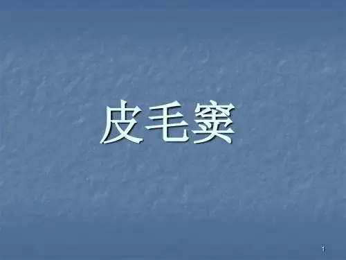 皮毛窦ppt课件