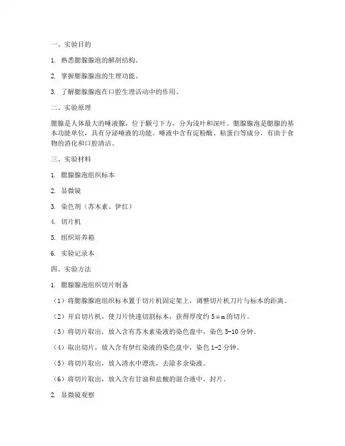 腮腺腺泡实验报告
