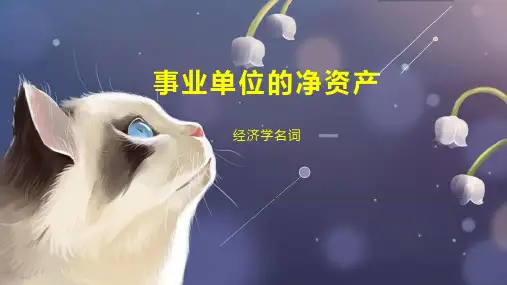 事业单位的净资产