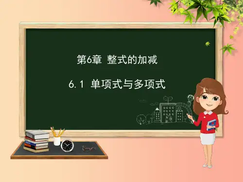 七年级数学上册 第六章 整式的加减 6.1 单项式与多项式课件 (新版)青岛版PPT