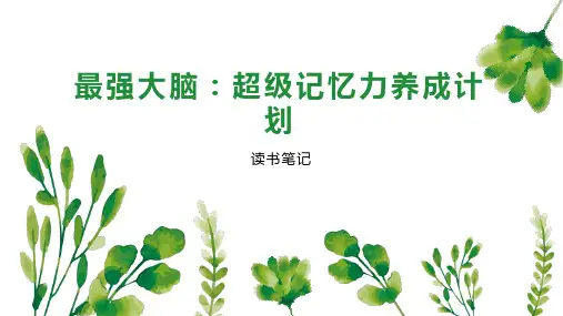 最强大脑：超级记忆力养成计划