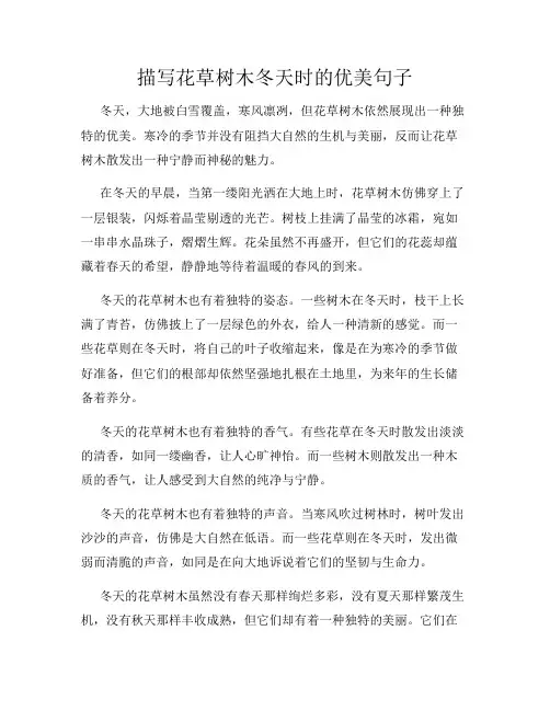 描写花草树木冬天时的优美句子
