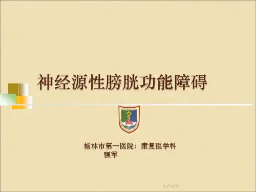 神经源性膀胱(医学研究)