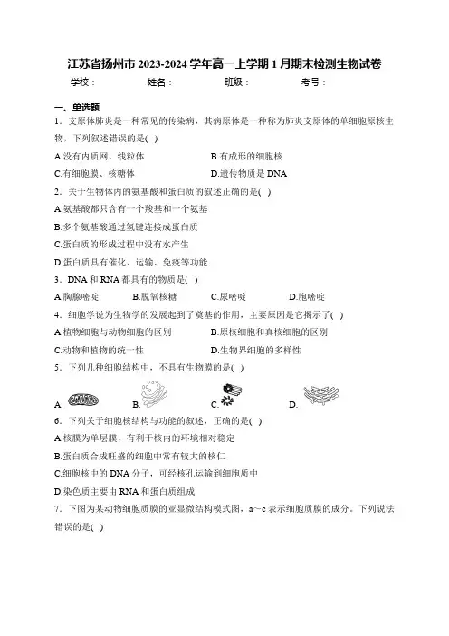 江苏省扬州市2023-2024学年高一上学期1月期末检测生物试卷(含答案)