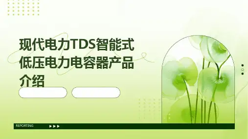 现代电力TDS智能式低压电力电容器产品介绍