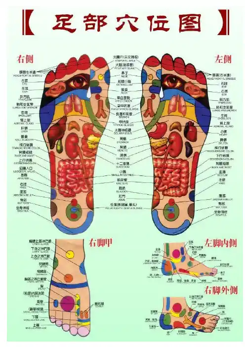 足部穴位图
