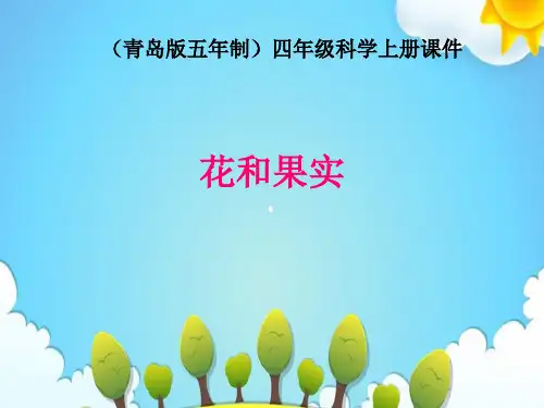 青岛版小学科学四年级上册花和果实课件(2)