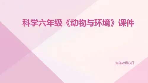 科学六年级《动物与环境》课件