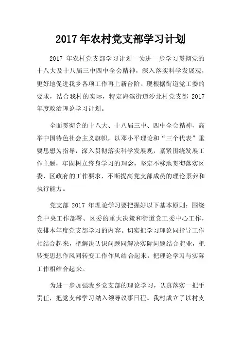 2017年农村党支部学习计划