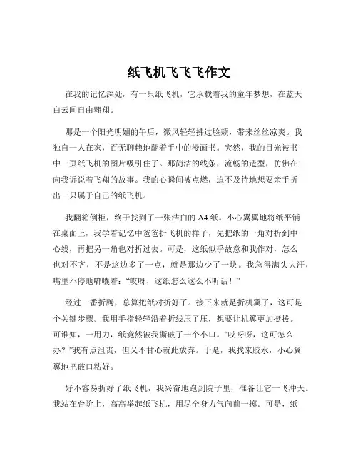 纸飞机飞飞飞作文