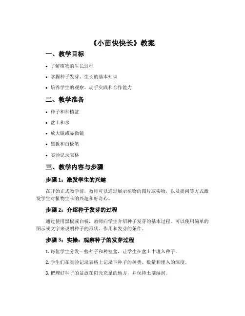 《小苗快快长》教案