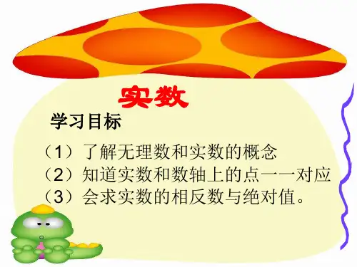 《实数》PPT课件(沪科版)4